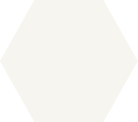 a light grey hexagon